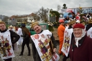 Faschingszug Bad Aibling_253