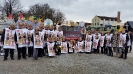 Faschingszug Bad Aibling_8