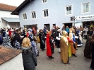 Faschingszug Bad Aibling_34