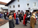Faschingszug Bad Aibling_42